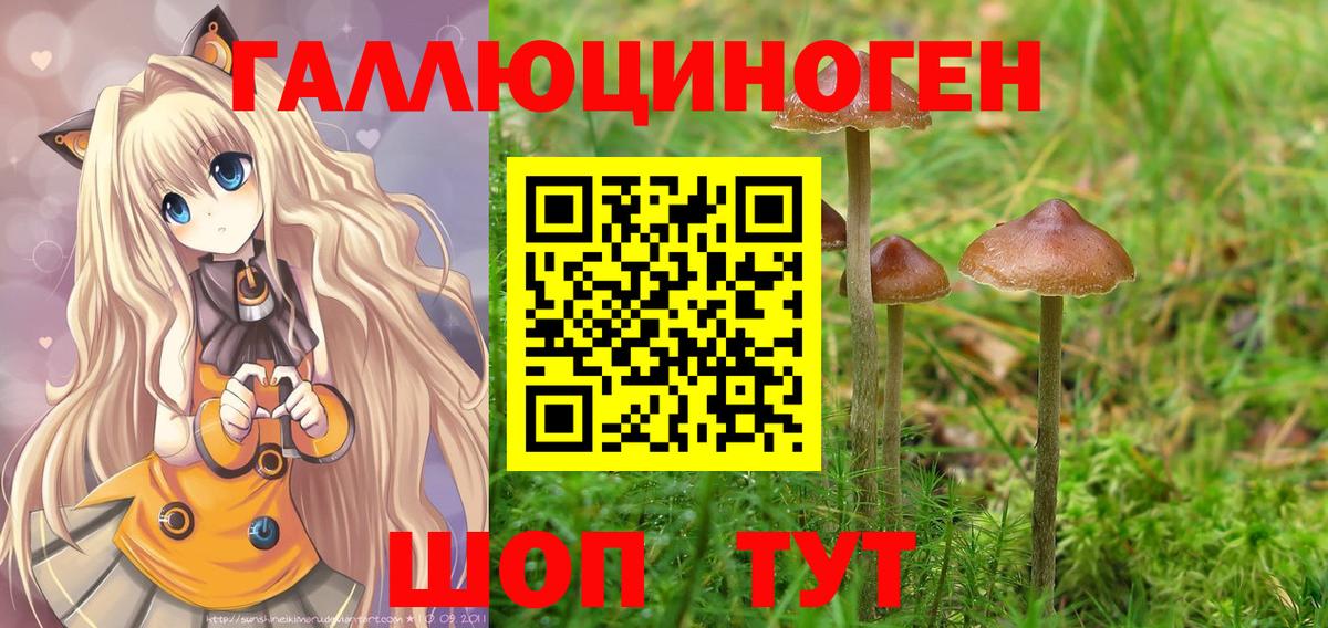 Волгодонск  Псилоцибиновые грибы MAGIC MUSHROOMS  Псилоцибиновые грибы Magic Shrooms  Вход с VPN 